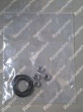 Raymarine Casco Auto ST50 Vane