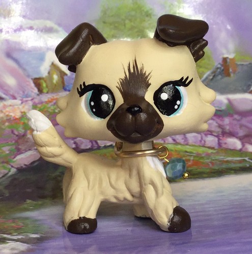 Mini negozio animali - mini,