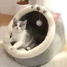 Cat house with game.Cat