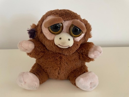 Felsty pets scimmietta scimmia - felsty,