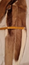 giacca  in pelo di antilope