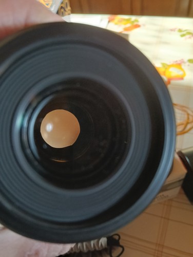Canon efs 60mm macro usm - canon,
