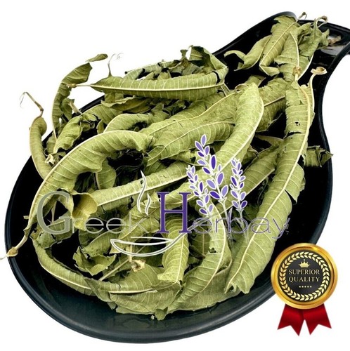 Limone verbena foglie - limone,