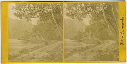 Stereoscopio circa 1870 - stereoscopio, passo