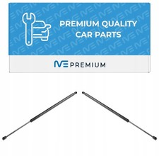 2 molle a gas ammortizzatori