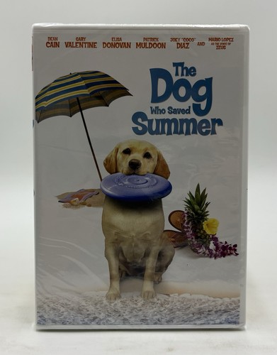 The dog who - who, summer