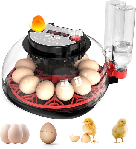 Incubatrice uova - 12,