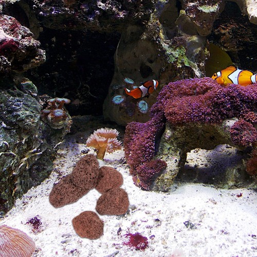 Pietra filtrante durevole per