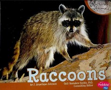 Raccoons (Pebble Plus