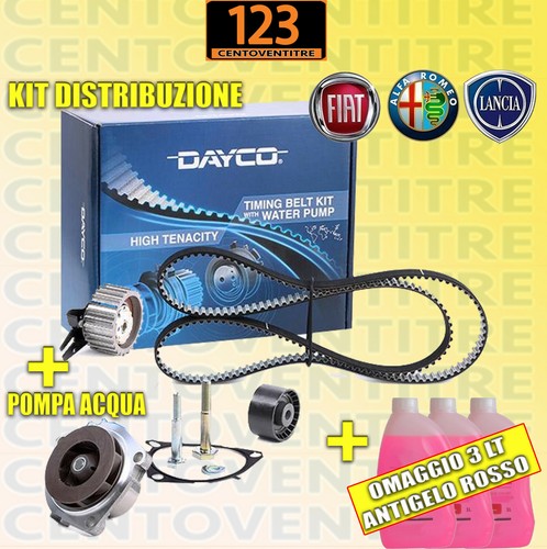 Kit distribuzione fiat - kit,
