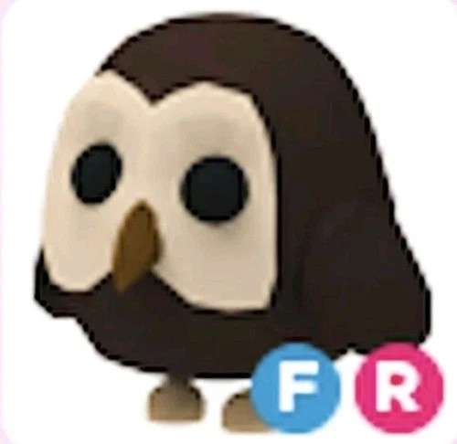 Owl adopt me - owl,