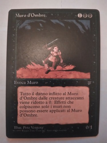Carte mtg magic wall of - ,