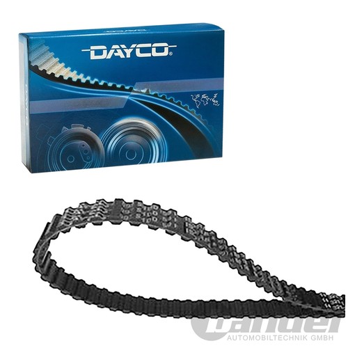 Cinghia dentata dayco - cinghia,
