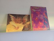 Lotto di 2 libri di Mauro Storti, lezioni di chitarra (vedi titoli in foto)    