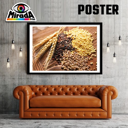 Poster bio cereali - poster,