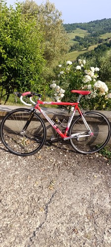 Colnago dream art decor - art,