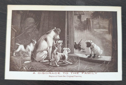 Cartolina jack russell terrier - cartolina,