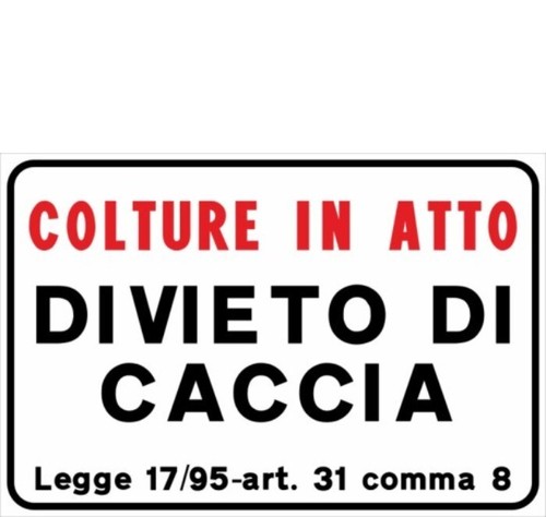 Cartello divieto caccia - cartello,