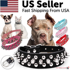 Spiked Studded Leather Dog