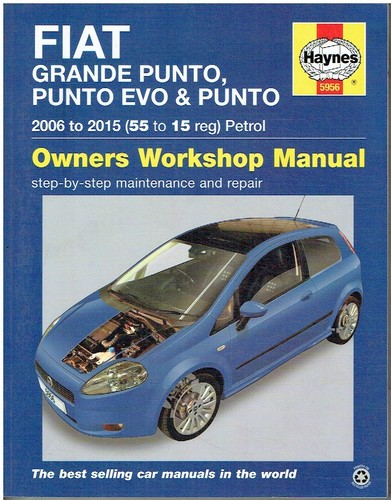 Fiat punto - fiat, grande