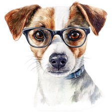 2 adesivi Jack Russell Terrier