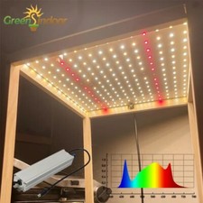 1000W Quantum Board Lampada