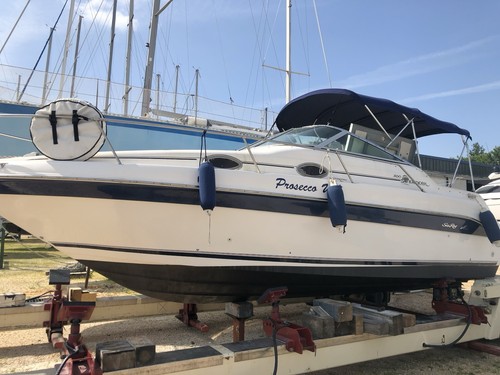 Barca motore sea ray250 - barca,