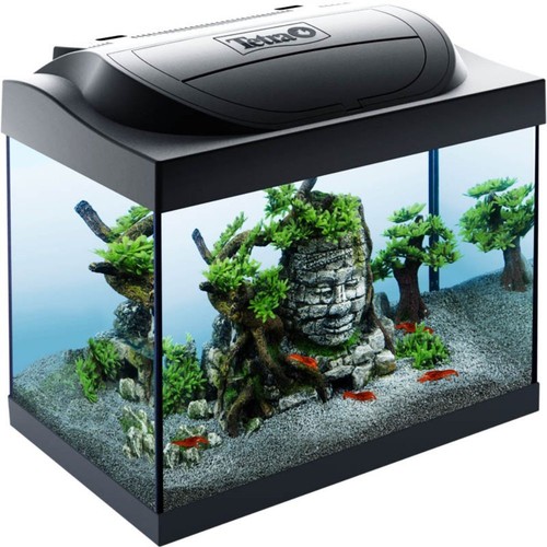 Tetra starter line - tetra,