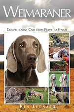 Weimaraner: Comprehensive Care