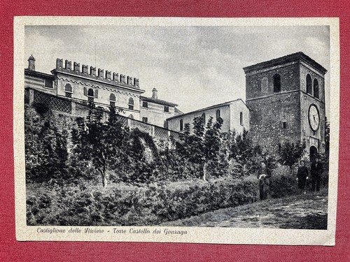 Cartolina castiglione delle - -,