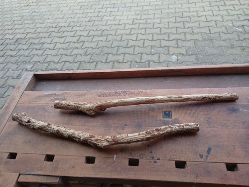 Rami legno prugna con - di,