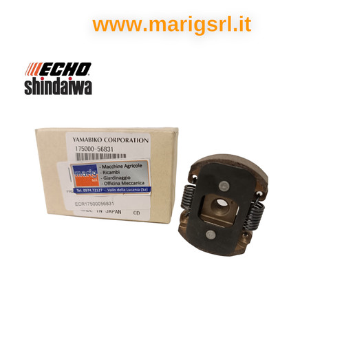 Frizione completa
