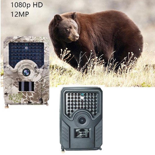 Sentiero videocamera scout - di,