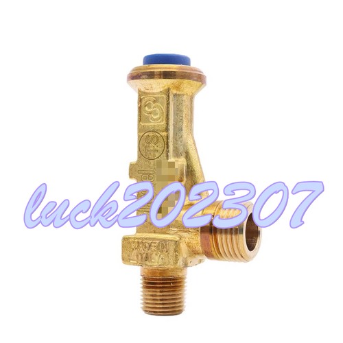 1pz new castel - 1pz,