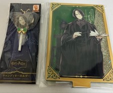 Harry Potter Animate Supporto