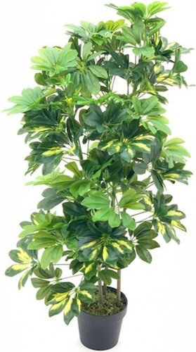 Pianta artificiale schefflera - artificiale,