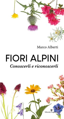 Libro marco alberti - -,