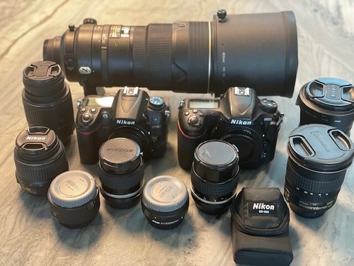 Nikon