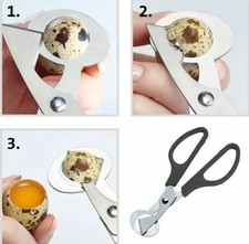 10 Forbice Uova Di Quaglia