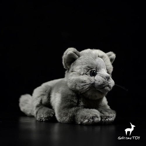 Peluche gatto inglese cm - 21,