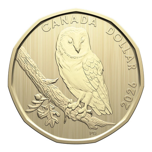 Canada 2026 barn owl - barn,