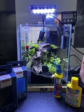 Nano Acquario Da Scrivania