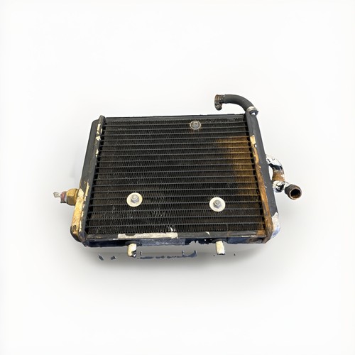 Radiatore piaggio carnaby - radiatore,
