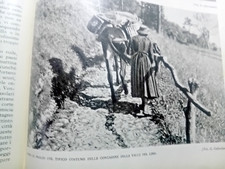 Peglio valle del Liro