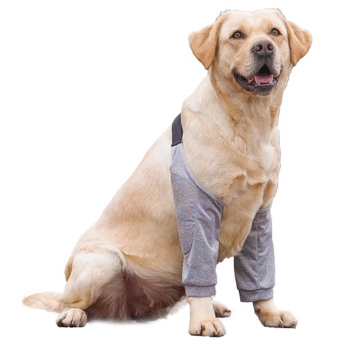 Tutore per gomito del cane - tutore,