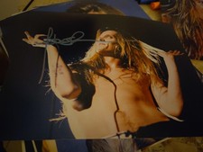 Sebastian Bach firmato Skid