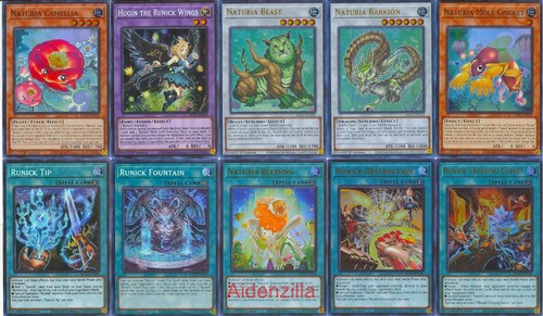 Mazzo yugioh naturia runick - mazzo,
