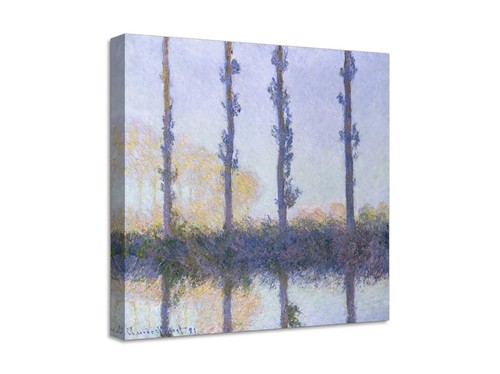 Quadro stampa tela con - stampa, su
