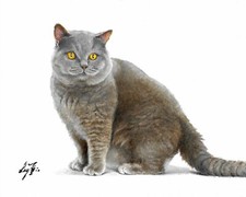 ✿ Dipinto ORIGINALE Ritratto