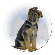 GERMAN SHEPHERD  PUP Lustrous